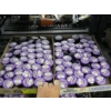 Image 1 : 2 FLATS OF GRAPE VODKA JELLO SHOTS