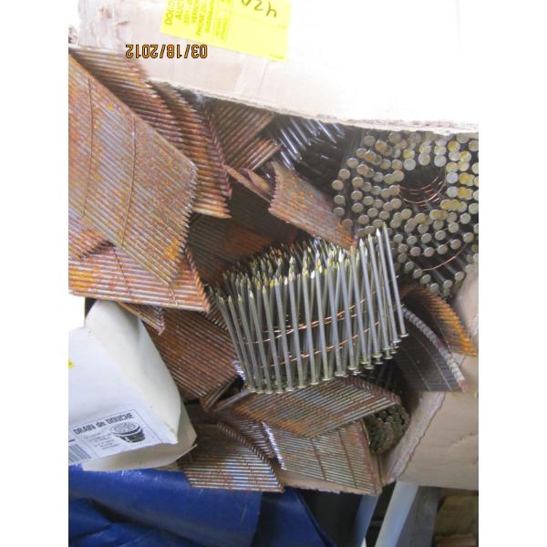 ASST. COIL & FLAT NAILS