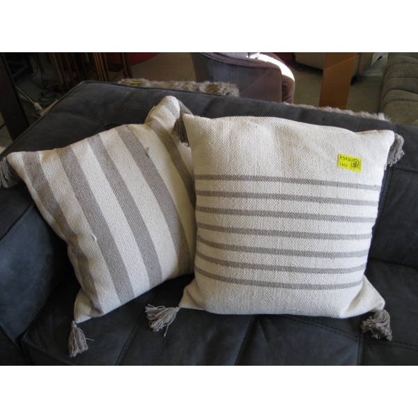 2 MATCHING PILLOWS