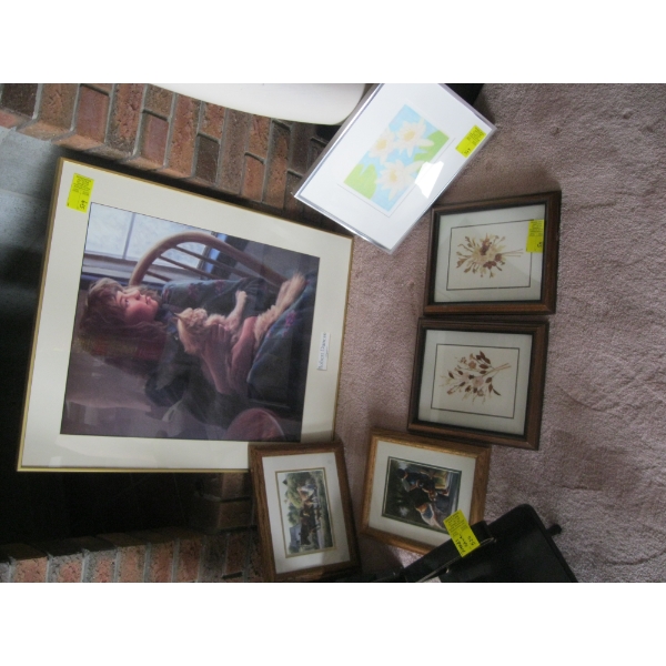 6 FRAMED PICTURES
