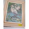 Image 3 : 2 BIRD PICTURES