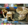 Image 2 : 3 BOXES MISC. SHELL CASING BRASS, SHOTGUN SHELLS, WADS, ETC.