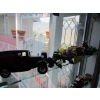 Image 1 : SHELF W/MISC. - SM. TRACTORS, TRUCK, ETC.
