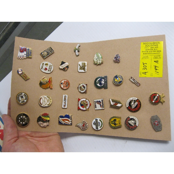 31 ASST. HOCKEY PINS
