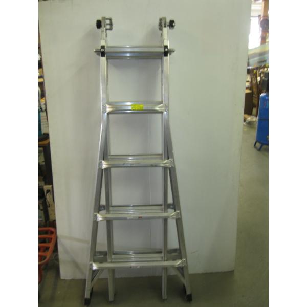 ADJUSTABLE STEP/EXTENSION LADDER
