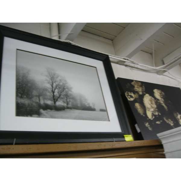 FRAMED BLACK & WHITE PRINT OF TREES AND FLORAL PICTURE