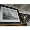 Image 1 : FRAMED BLACK & WHITE PRINT OF TREES AND FLORAL PICTURE