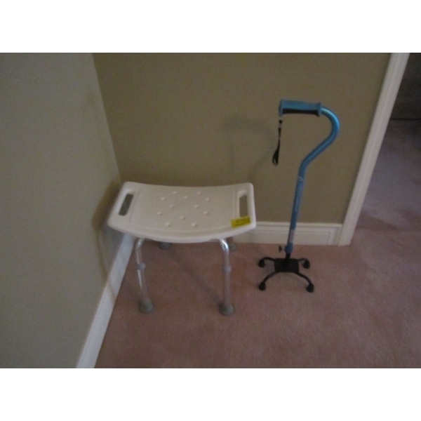 BATH SEAT & CANE