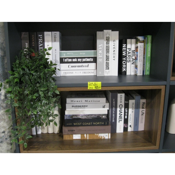 ARTIFICIAL PLANTS & DÉCOR BOOKS ON BOTH SHELVES