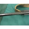 Image 2 : SAVAGE A17 SEMI-AUTO RIFLE