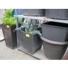 Image 1 : 6 PLANTERS - 5 W/ARTIFICAL FLOWERS