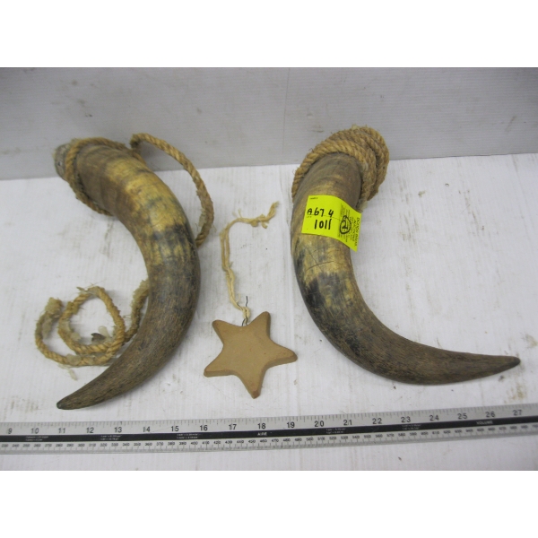 2 HORNS & A STAR