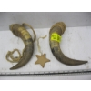 Image 1 : 2 HORNS & A STAR