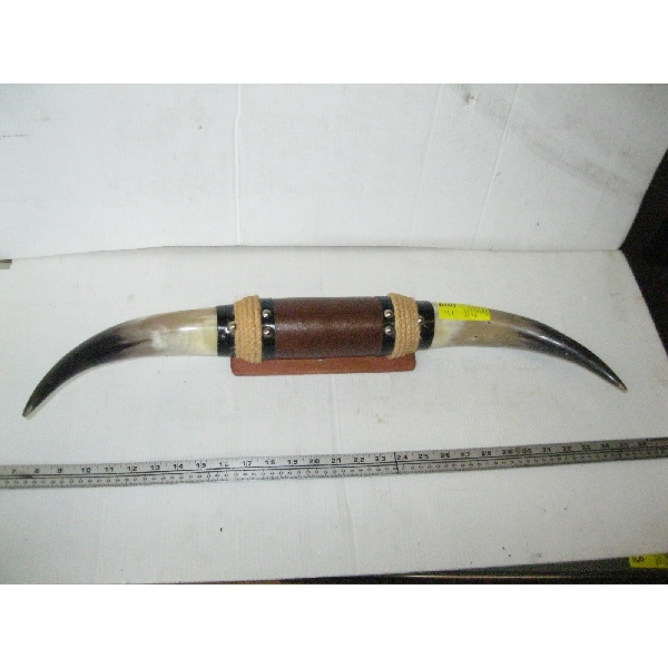SET OF MOUNTED HORNS