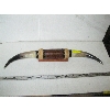 Image 1 : SET OF MOUNTED HORNS
