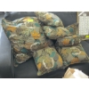 Image 1 : PILLOW COVERS