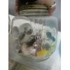 Image 3 : ASST. MARBLES, CANNISTER, VASES, ETC.