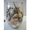 Image 4 : TURTLE SHELL, MASK & CONTAINER OF ASST. SHELLS