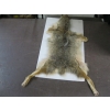 Image 2 : TANNED COYOTE HIDE