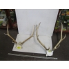 Image 1 : 2 SETS OF ELK HORNS