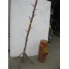 Image 1 : STUMP LOOK PLANTER & A WOODEN COAT RACK