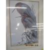 Image 4 : PAIR OF FRAMED PRINTS OF BIRDS