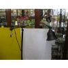 Image 3 : FLOOR LAMP