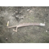 Image 3 : 3 HAYLIFTERS, WOODEN HANDLE SCYTHE & HAYCUTTER