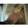 Image 3 : BIN OF MISC. NEWSPAPER CLIPPINGS, MAGAZINES, POSTCARDS, ETC.