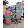 Image 1 : PLASTIC STORAGE BINS