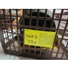 Image 5 : PLASTIC BIN W/ELECTRIC WINCH, 220LB RATING