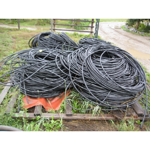 LG. LOT OF DRIP LINE