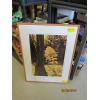 Image 4 : 4 VARIOUS FRAMED PICTURES