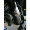Image 3 : LOT OF MOTORCYCLE ACCESS. FOR A 2016 DUCATI MONSTER 800