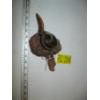 Image 3 : QUAIL ON BURL WOOD