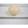 Image 3 : OSTRICH EGG
