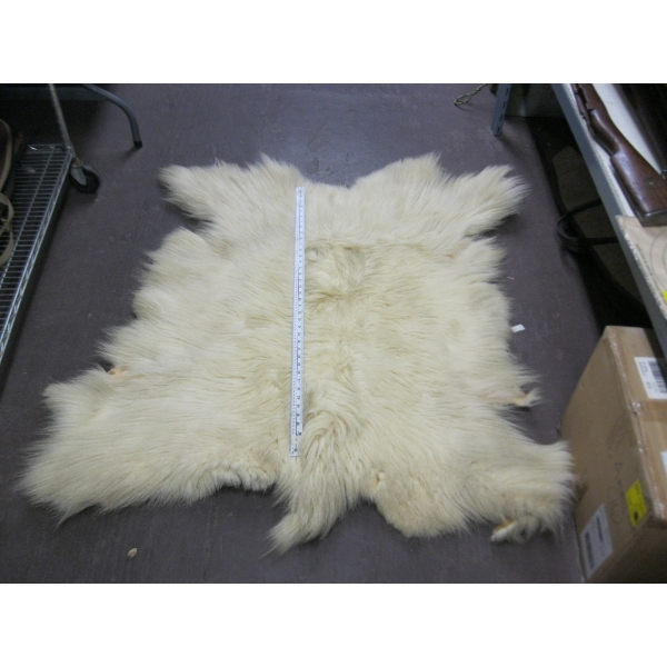 TANNED MOUNTAIN GOAT HIDE