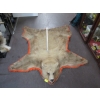 Image 2 : TANNED BROWN BEAR HIDE W/HEAD MOUNT