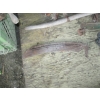 Image 4 : 2 ALUMINUM HANDLE SCYTHES, WOODEN SCYTHES, PIPE CUTTER, VINTAGE BIKE PUMPS