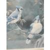 Image 2 : BLUEBIRD NUMBERED PRINT, 2/50, SIGNED ROD BAYNTON