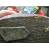 Image 3 : VINTAGE CARVED WOODEN DECOY