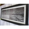 Image 2 : LG. FRAMED PHOTOGRAPH OF FREIGHTERS