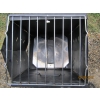Image 4 : COLEMAN CAMP OVEN