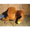 Image 1 : PAIR OF SZ 10 SANDERS COWBOY BOOTS