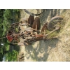 Image 1 : 3 BOTTOM PLOW