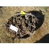 Image 1 : SET OF DUAL TIRE CHAINS - 1 PAIR 80"X30"