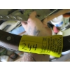 Image 3 : STEERING WHEEL