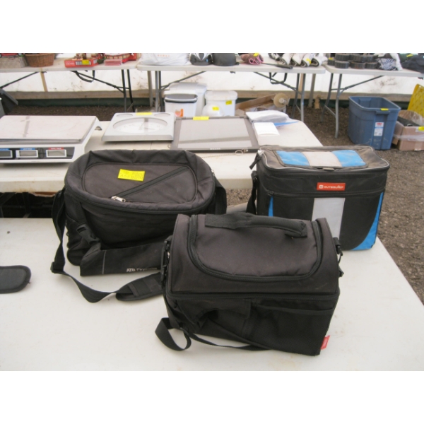 3 INSULATED BAGS