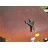 Image 2 : FORD VINTAGE HOOD FOR CAR