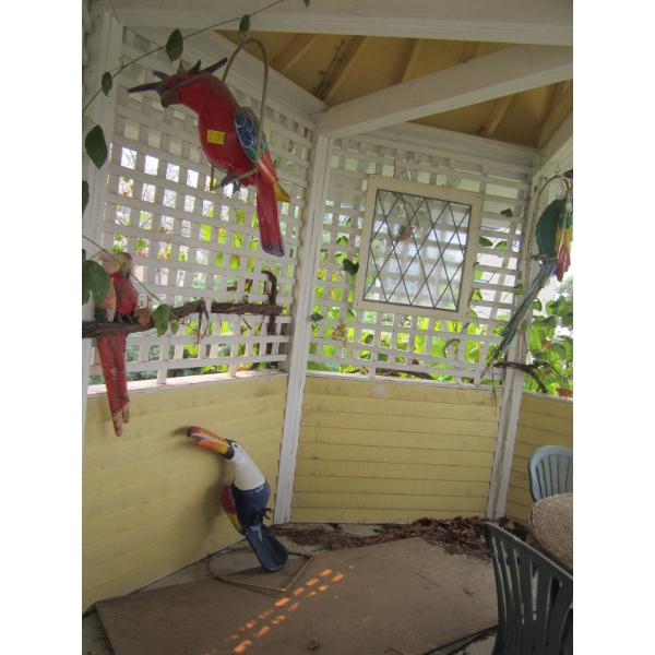 DECORATIVE PARROTS